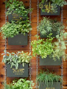 granny flat vertical garden